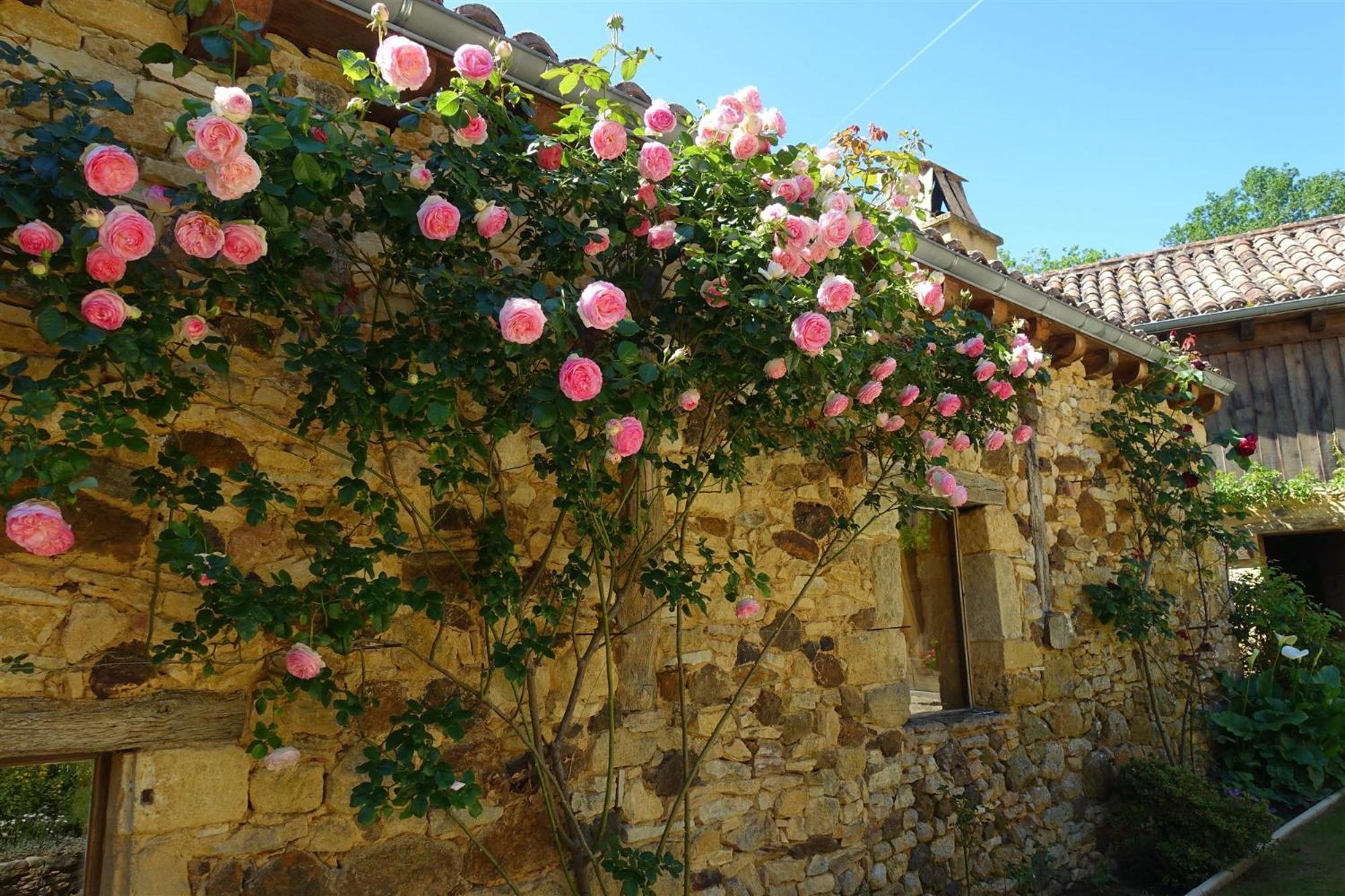 Domaine De Cournet Haut, A 17Th Century Property Set On A Calm, Idyllic Domain With Pool, Tennis, Bikes And More Les Vauries Exterior photo