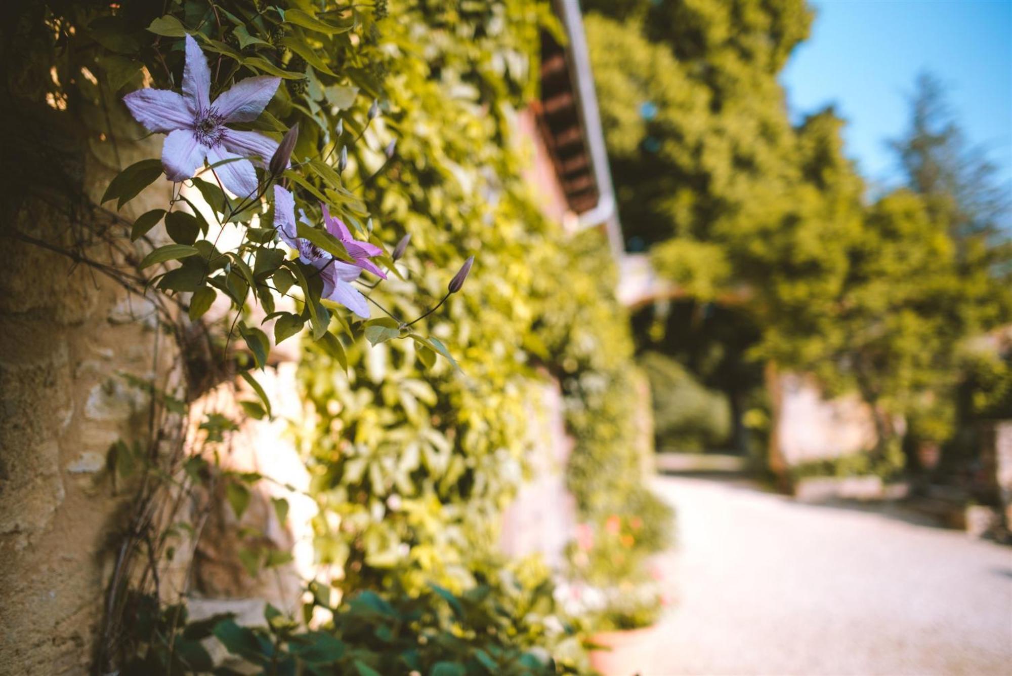 Domaine De Cournet Haut, A 17Th Century Property Set On A Calm, Idyllic Domain With Pool, Tennis, Bikes And More Les Vauries Exterior photo
